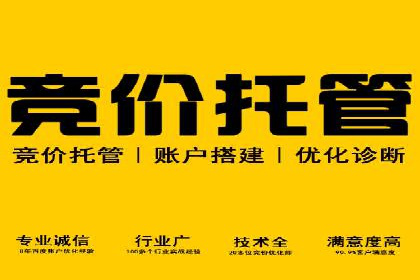 成功运用SEM服务实现品牌快速成长的案例